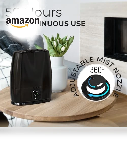 Cool Mist Humidifier — Air Moisturizers, Everlasting Comfort