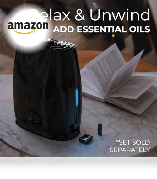 Cool Mist Humidifier — Air Moisturizers, Everlasting Comfort