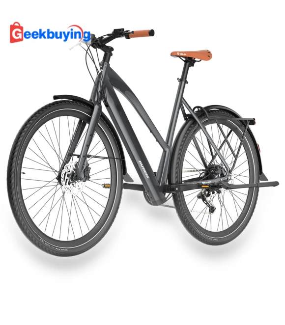 Electric Bike — Electric Self-Balancing Scooters, Fafrees