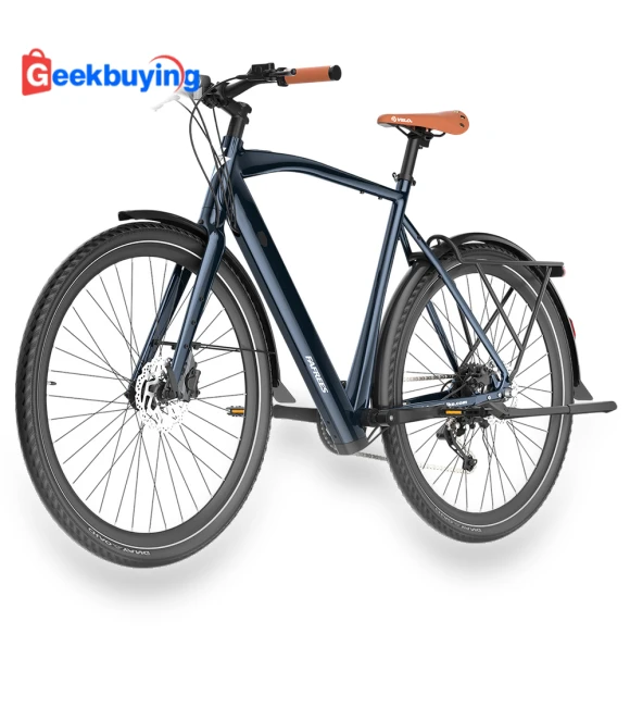 Electric Bike — Leisure Bicycles, Fafrees