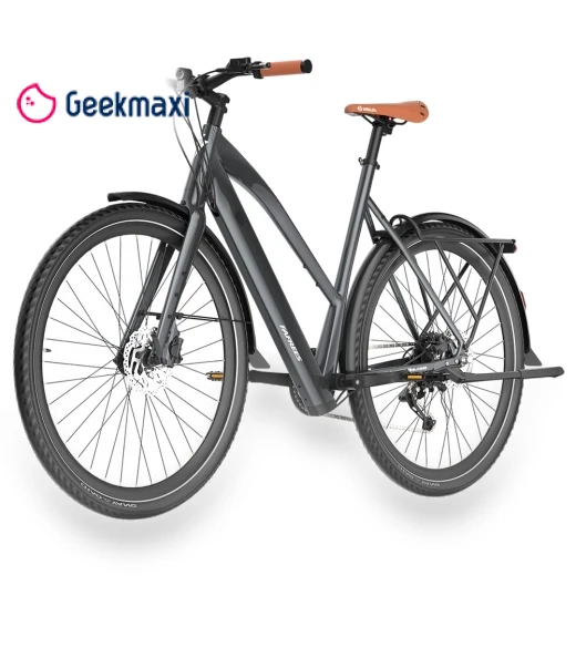 Electric Bike — Electric Self-Balancing Scooters, Fafrees
