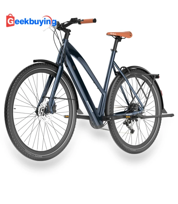 Electric Bike — Electric Self-Balancing Scooters, Fafrees