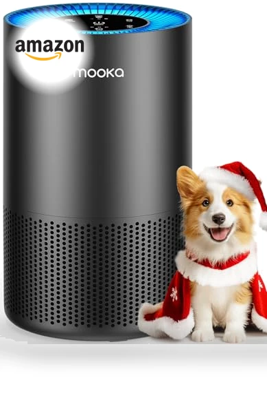 True HEPA Air Purifier for Large Rooms — Activated Carbon Air Purifiers, Mooka
