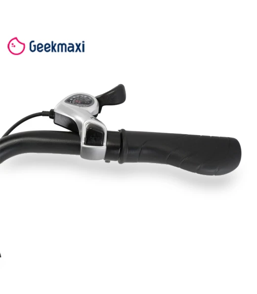 Electric Bike X-city — Electric Self-Balancing Scooters, CYSUM