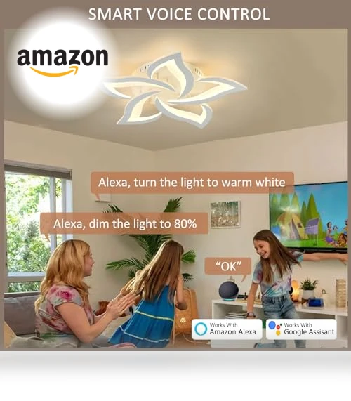 Smart Ceiling Light Fixture — LED, SKY ANGLE