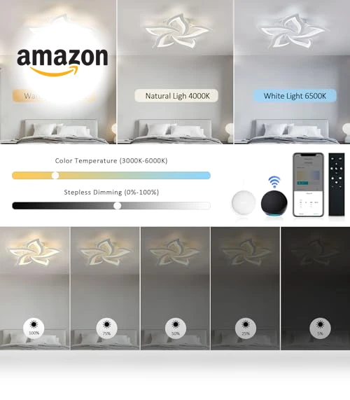 Smart Ceiling Light Fixture — LED, SKY ANGLE