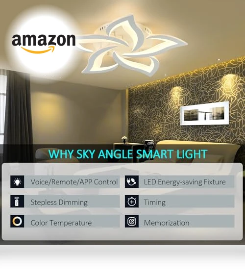 Smart Ceiling Light Fixture — LED, SKY ANGLE