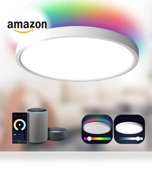 Smart Ceiling Light Flush Mount LED WiFi — Overhead Lighting, TALOYA