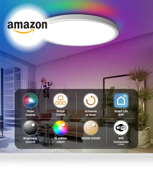 Smart Ceiling Light Flush Mount LED WiFi — Overhead Lighting, TALOYA