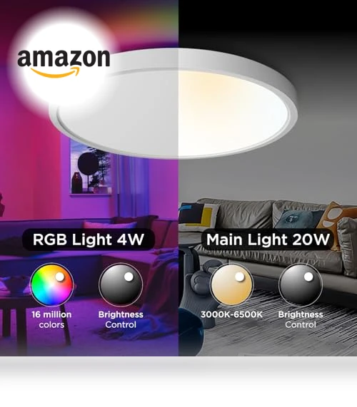 Smart Ceiling Light Flush Mount LED WiFi — Overhead Lighting, TALOYA