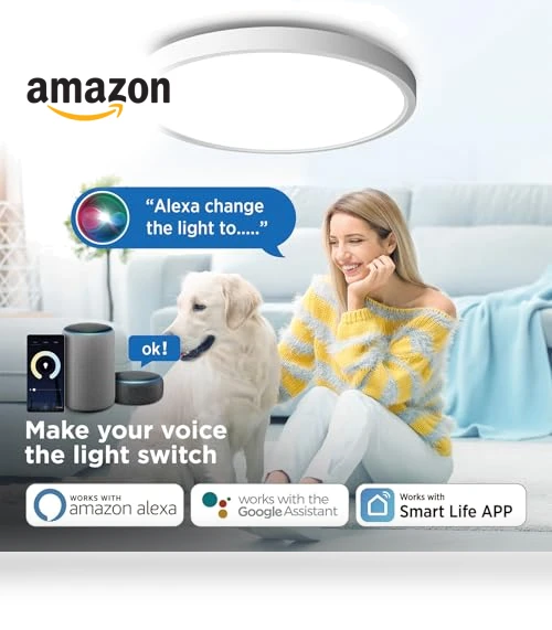 Smart Ceiling Light Flush Mount LED WiFi — Overhead Lighting, TALOYA