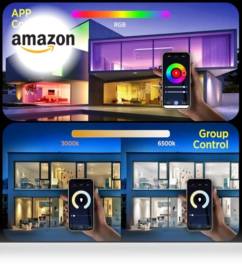 Smart Ceiling Light Flush Mount LED WiFi — Overhead Lighting, TALOYA