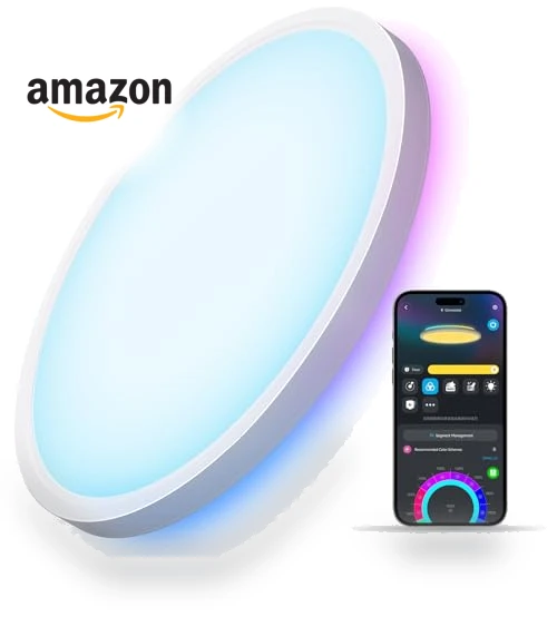 Smart Ceiling Light — Overhead Lighting, Govee