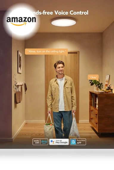 Smart Ceiling Light — Overhead Lighting, Govee