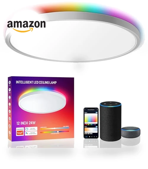 Smart LED Ceiling Light Flush Mount — LED, MELEGAN