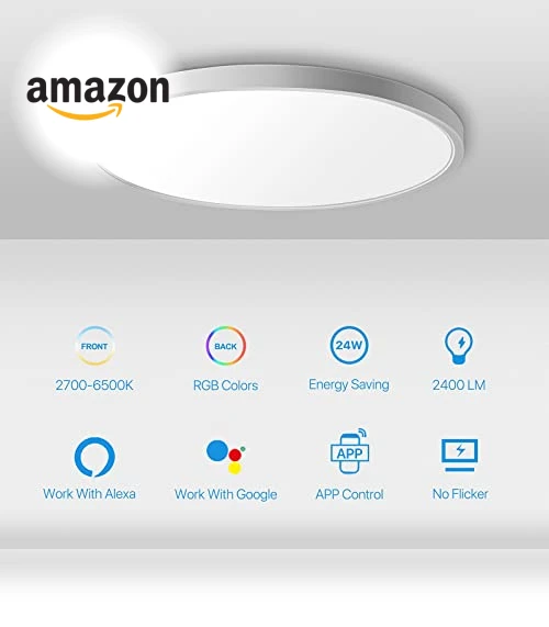 Smart LED Ceiling Light Flush Mount — LED, MELEGAN