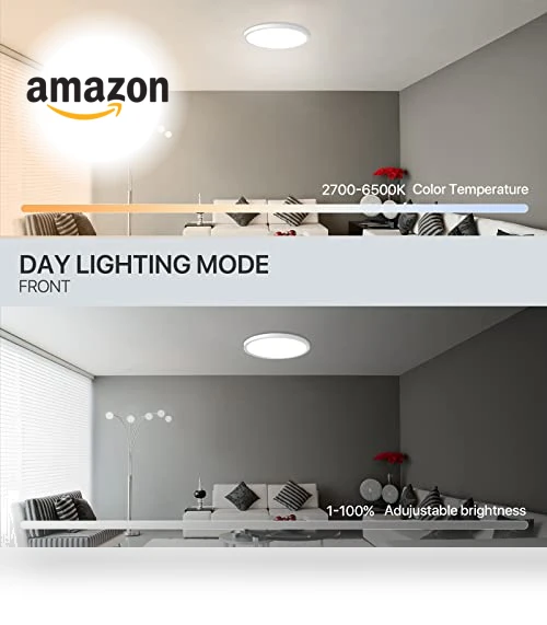 Smart LED Ceiling Light Flush Mount — LED, MELEGAN