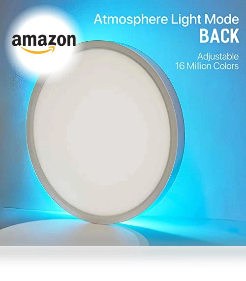 Smart LED Ceiling Light Flush Mount — LED, MELEGAN