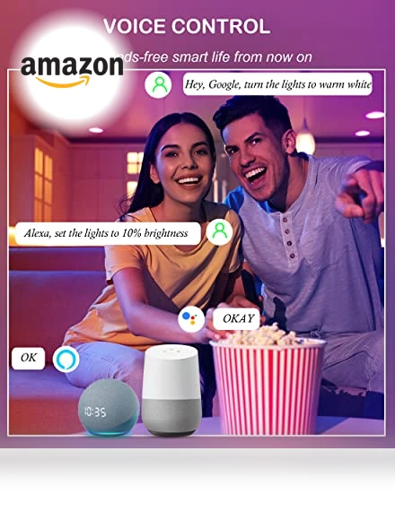 Smart WiFi LED Recessed Lights — LED, CLOUDY BAY