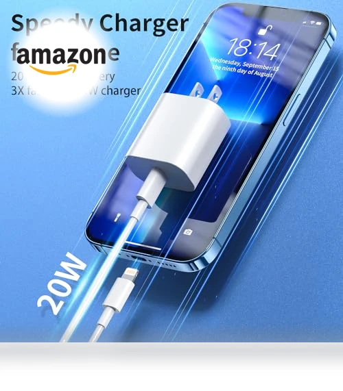 Fast Charging USB C Wall Charger with Lightning Cable — Lightning, CQDKWG
