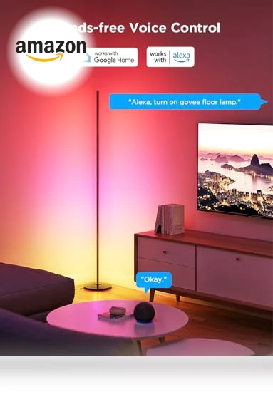 RGBIC Floor Lamp 2-Pack — LED, Govee