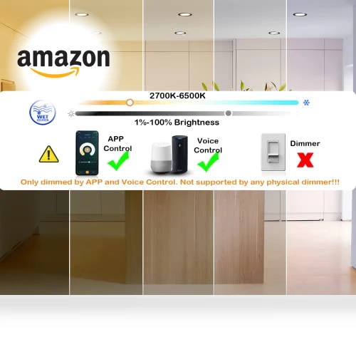 Smart WiFi LED Recessed Lights — LED, CLOUDY BAY