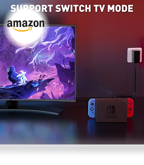 USB Type C Charger for Nintendo Switch — Connectors & Cables, Shenzhen HongYeChange Keji Youxiangongsi