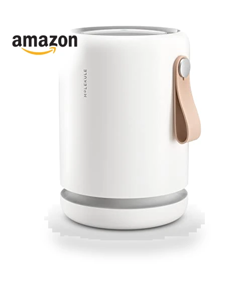 Air Purifier for Small Home Rooms — Activated Carbon Air Purifiers, Molekule