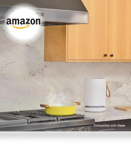 Air Purifier for Small Home Rooms — Activated Carbon Air Purifiers, Molekule