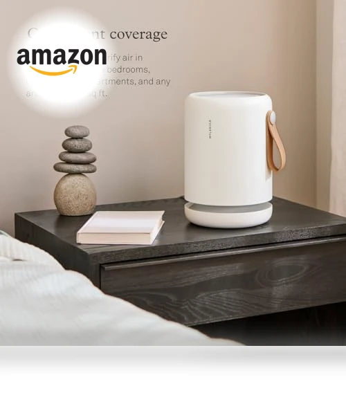 Air Purifier for Small Home Rooms — Activated Carbon Air Purifiers, Molekule