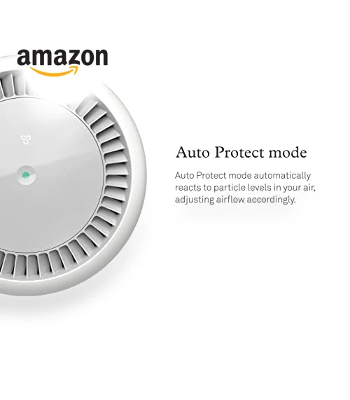 Air Purifier for Small Home Rooms — Activated Carbon Air Purifiers, Molekule