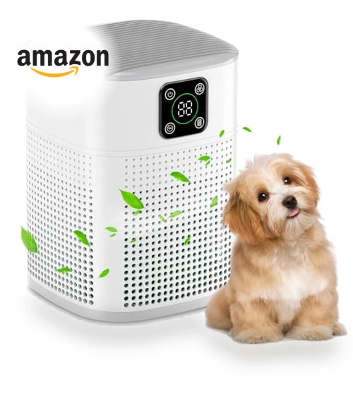 HEPA Air Purifier — Electrostatic Air Purifiers, Honeyuan