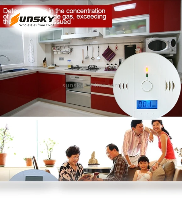 Carbon Monoxide Detector Sensor Unit with LCD — Carbon Monoxide Detectors