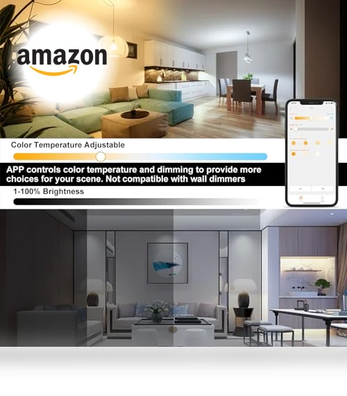 Smart LED Light Bulb — Lighting Solutions, ChangM