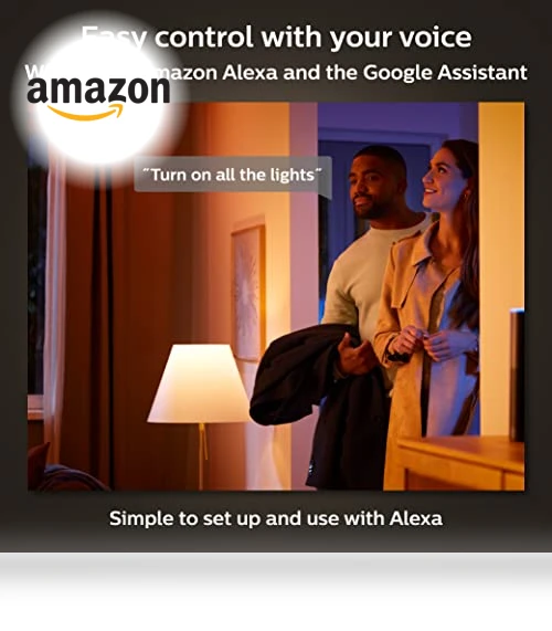 Smart Portable Dimmable Table Lamp — Lighting Solutions, Philips Hue