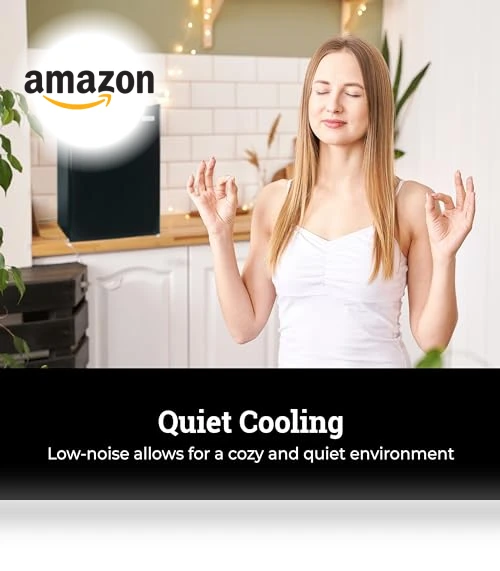 Compact Refrigerator with Freezer — Mini Fridges, Igloo