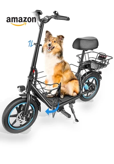 Electric Scooter with Seat — Electric Vehicles, Gyroor