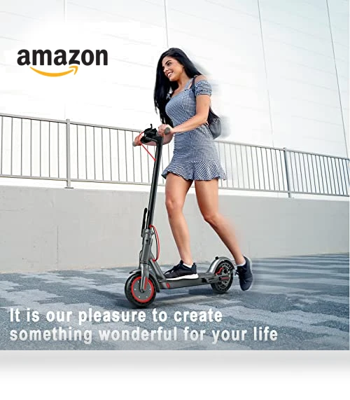 Electric Scooter — Electric Vehicles, Roinside