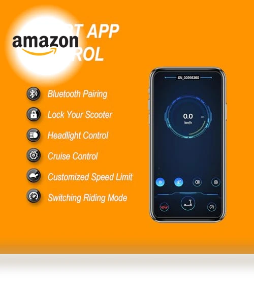 Electric Scooter — Electric Vehicles, NAVIC