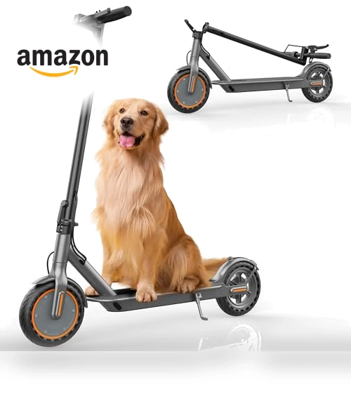 Folding Electric Scooter — Electric Vehicles, sigravy