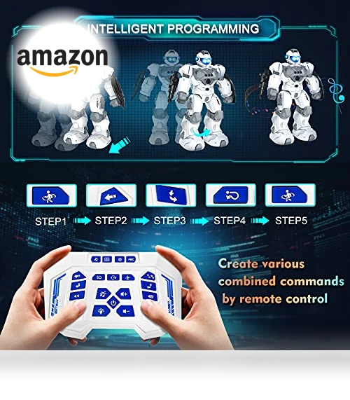 Intelligent Programmable RC Robot — Interactive Figures & Robots, VAV