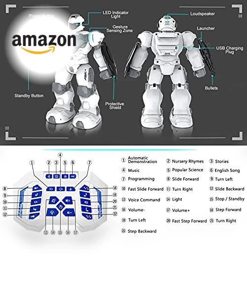 Intelligent Programmable RC Robot — Interactive Figures & Robots, VAV
