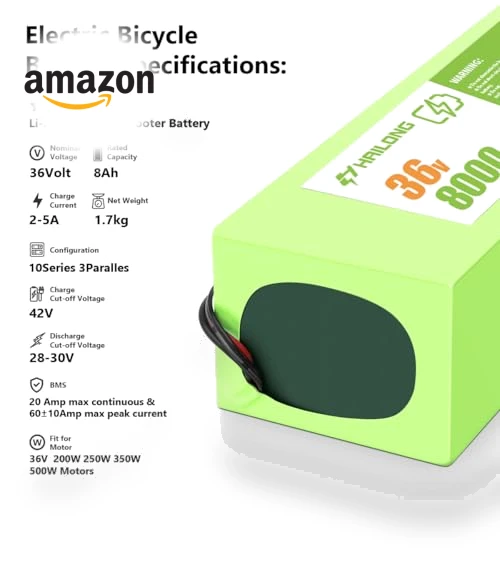 Lithium ion Battery for Electric Bike Scooter Tricicycle — Batteries & Chargers, H HAILONG