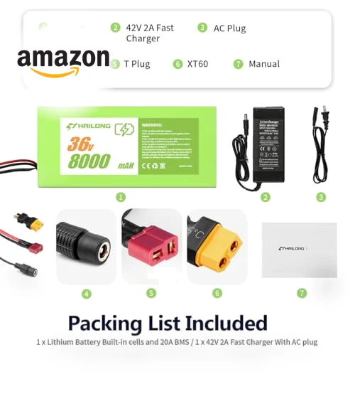 Lithium ion Battery for Electric Bike Scooter Tricicycle — Batteries & Chargers, H HAILONG