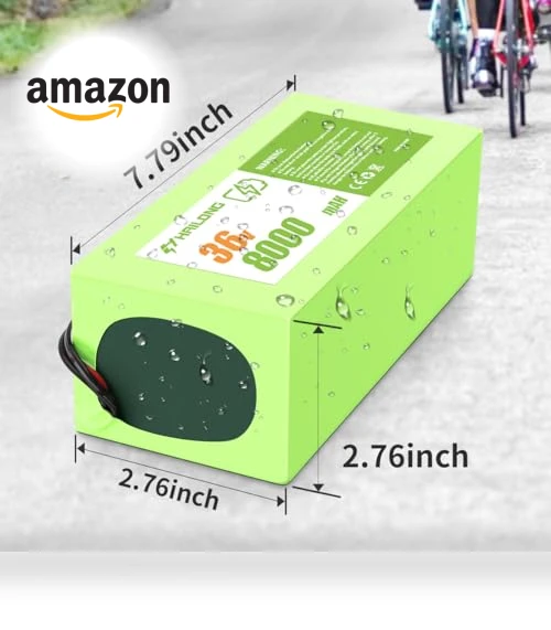 Lithium ion Battery for Electric Bike Scooter Tricicycle — Batteries & Chargers, H HAILONG