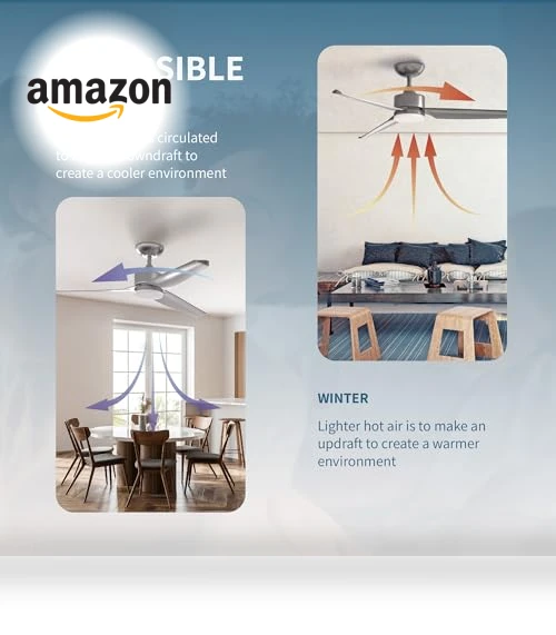 Modern All Seasons Smart Ceiling Fan with LED Lights — Ceiling Fan Wall Controls, Promounts