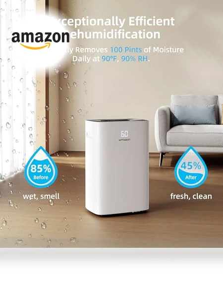 Dehumidifier for Home and Basement — Air Moisture Control