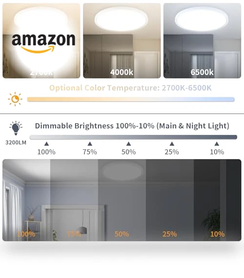 Flush Mount Ceiling Light Fixtures with Remote Control & Night Lights — Close To Ceiling, Highxin