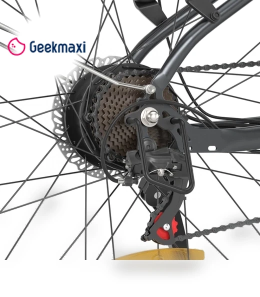 Trekking Electric Bike — Electric Self-Balancing Scooters, Touroll