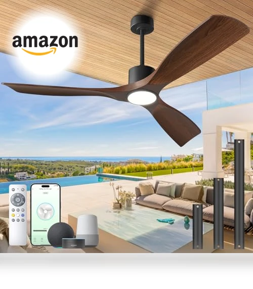 Smart Ceiling Fan with Light — Ceiling Fan Wall Controls, BOOSANT